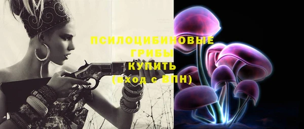 первитин Лабытнанги