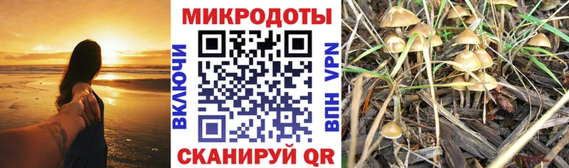 Псилоцибиновые грибы ЛСД  Усть-Катав 